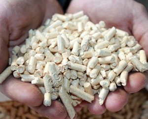 Топливные пеллеты