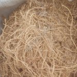 Корень валерианы