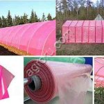 плёнка парниковая 3,0м50м/200мкм розовая СУФ