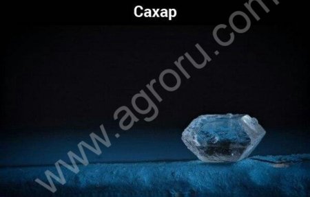 Сахар ГОСТ 21-94