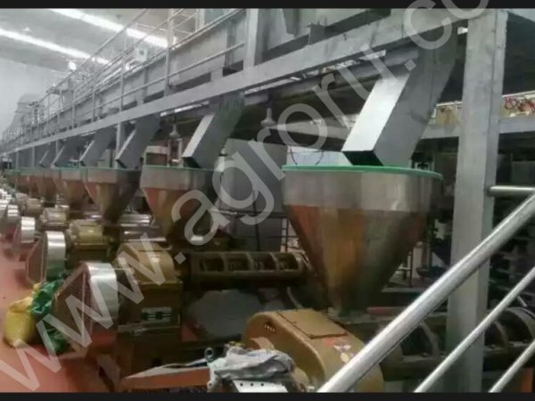 Маслопресс шнековый холодного отжима