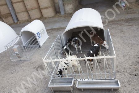 Индивидуальные и групповые домики для телят