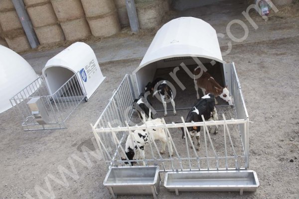 Индивидуальные и групповые домики для телят