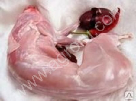 мясо кролика парное