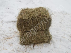 Сено урожая 2015г. крытого хранения, рулоны и тюки