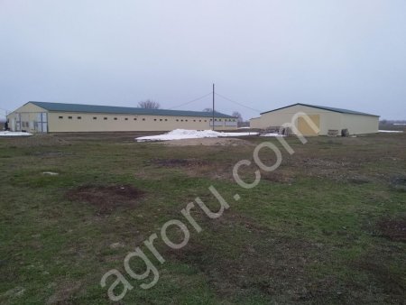 Птицеферма действующая