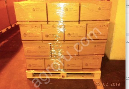 Жир Кондитерский на основе пальмового масла, Loders Croklaan