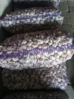 <strong>Чеснок</strong> любаша