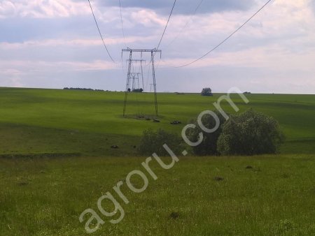 Животноводческий комплекс