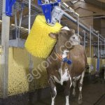 Щетка чесалка для КРС