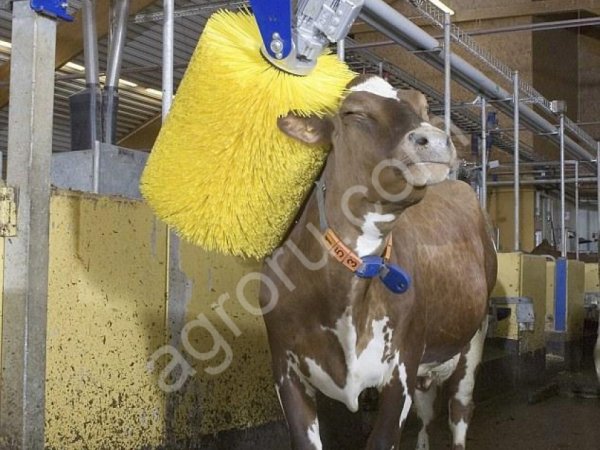 Щетка чесалка для КРС