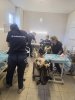 Лапароскопическое осеменение и УЗ-контроль овец