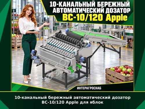 10-канальный бережный автоматический дозатор ВС-10/120 Apple для яблок