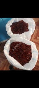 Рябина Красная сушеную