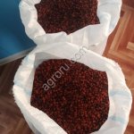 Рябина Красная сушеную