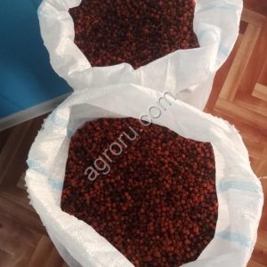 Рябина Красная сушеную