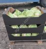 Агротара