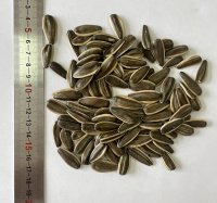 Черная семечка