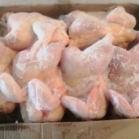 Тушка маточника ЦБ