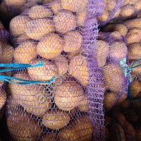 Картофель 1го и 2го сорта (белый, красный)