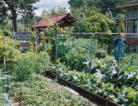 Май: дела садово-огородные