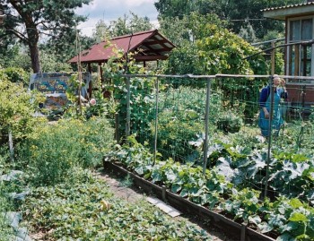 Май: дела садово-огородные