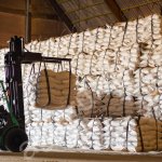 Сахар оптом от производителя