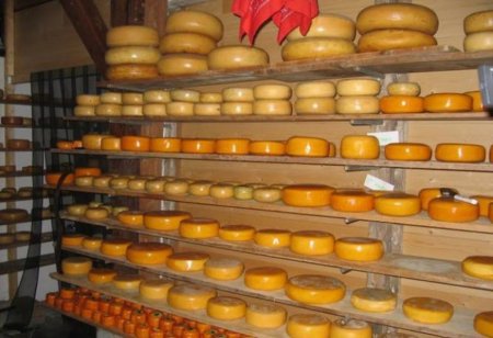 Планы сырзавода