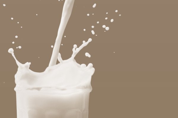 Цены на сырое молоко снижаются