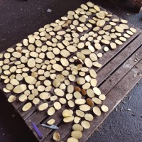 Картофель