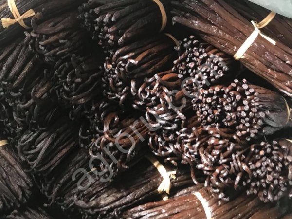 стручок ванили