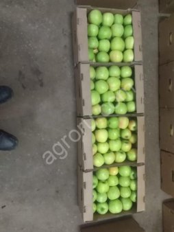 Яблоки сорта Гренни Смит