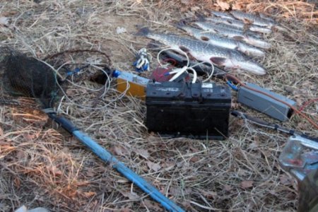 Омич ловил рыбу с помощью электричества