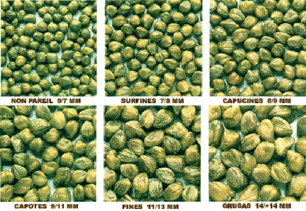 Каперсы: солёные бутоны