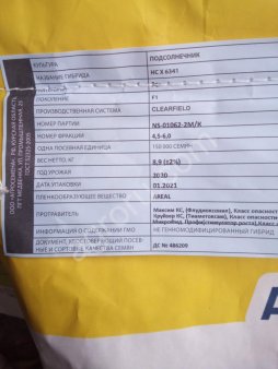 Семена подсолнечника НСХ 6341 (clearfield)