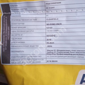 Семена подсолнечника НСХ 6341 (clearfield)