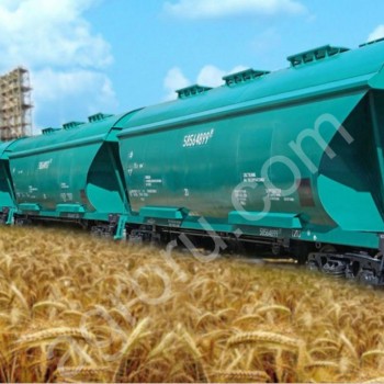 Перевозка сельскохозяйственной продукции вагонами зерновозами