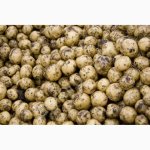 Кормовые овощи