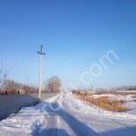 Птицеферма