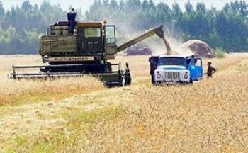 Девальвация рубля открывает для российских производителей новые экспортные рынки