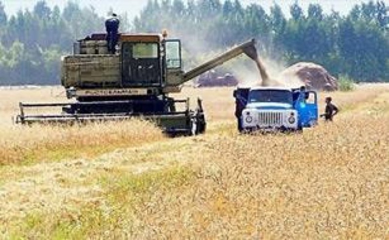 Девальвация рубля открывает для российских производителей новые экспортные рынки