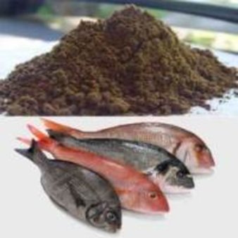 Крупная партия рыбной муки из Латвии оказалась зараженной диоксином