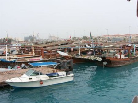 Испанский рыболовецкий флот обвиняется в браконьерстве