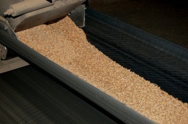 С элеваторов и хлебоприёмных пунктов Ульяновской области продано более 40 тысяч тонн зерна государственного интервенционного фонда