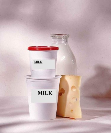 Бактерии Streptococcus thermophilus