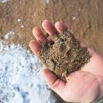 Шрот рапсовый