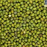 Маш зелёный и фасоль черноглазка