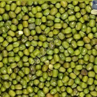 Маш зелёный и фасоль черноглазка