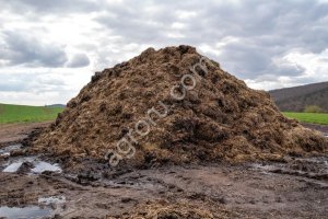 Навоз коровий