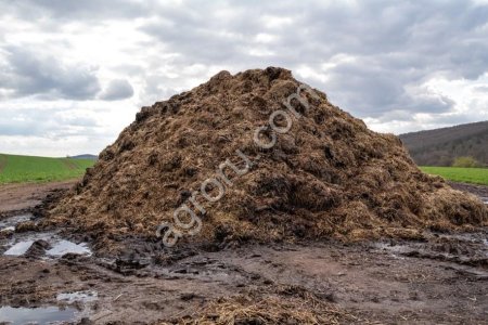 Навоз коровий